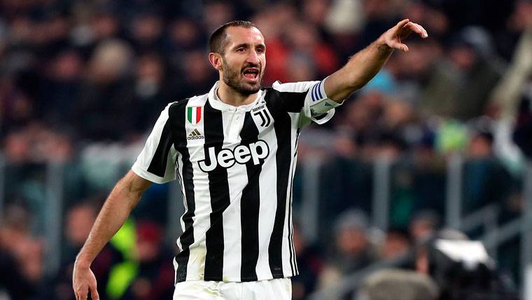 Giorgio Chiellini, during a party with the Juventus