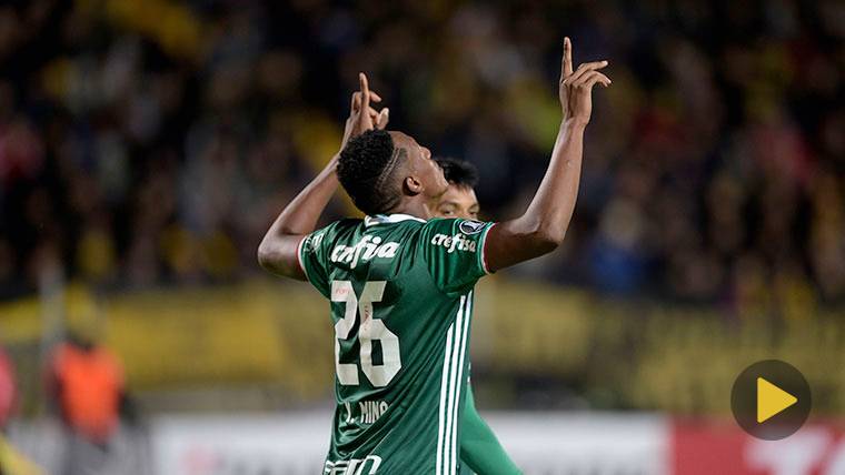 Yerry Mina, celebrando un gol con el Palmeiras
