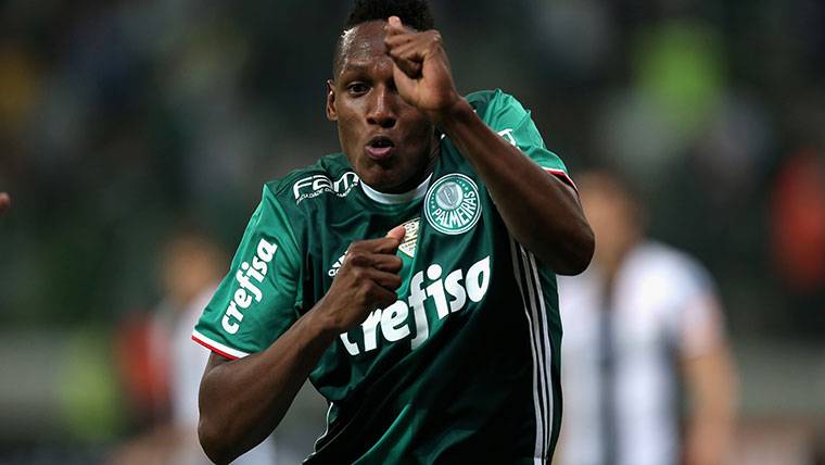 Yerry Mina, celebrando un gol marcado con el Palmeiras