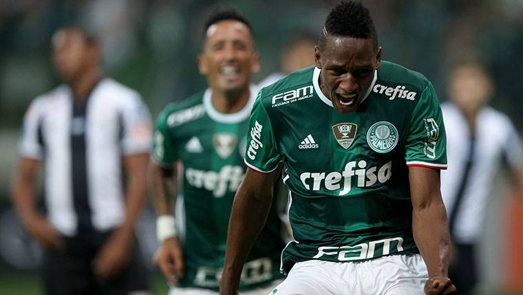 Yerry Mina, celebrando un gol marcado con el Palmeiras