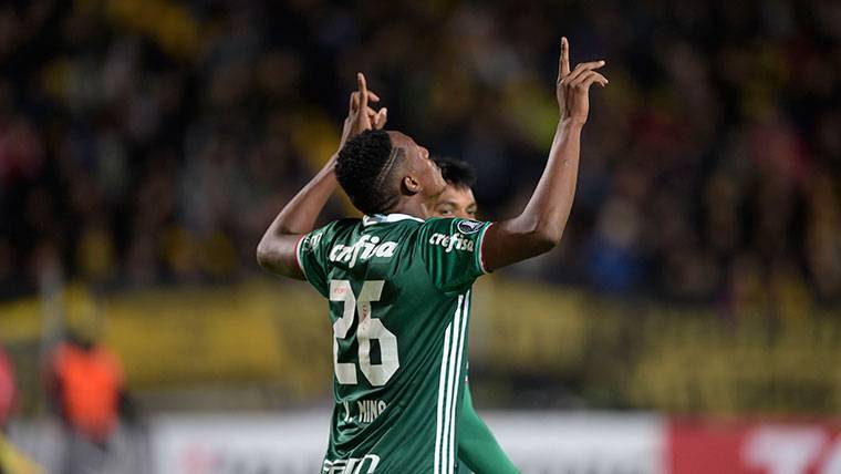 Yerry Mina, during a party with the Palmeiras