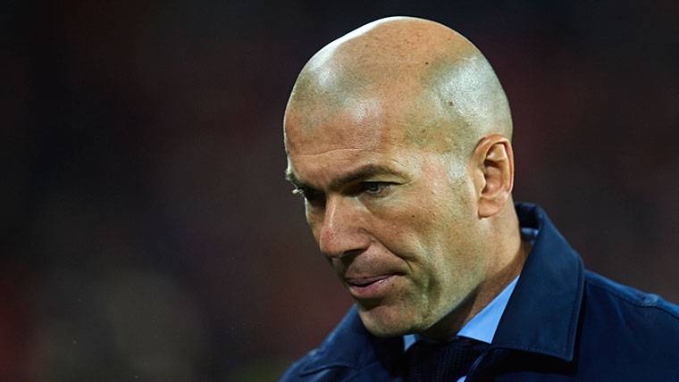 Zidane, in the bench of the Real Madrid