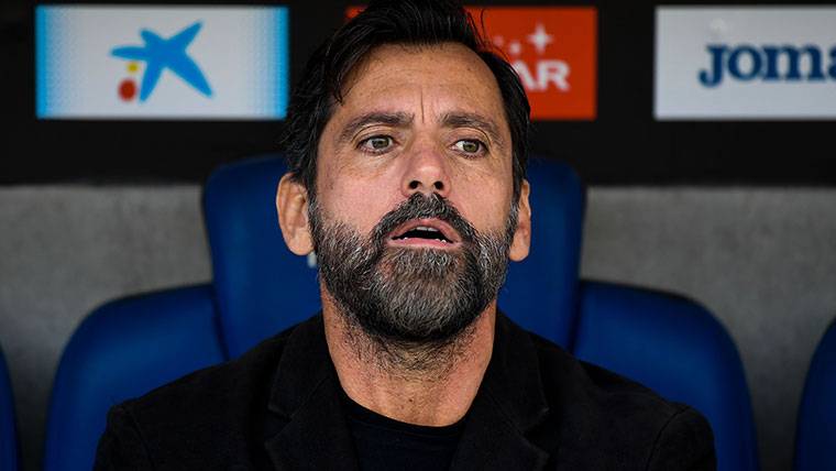 Quique Sánchez Flores, seated in the bench of the Espanyol
