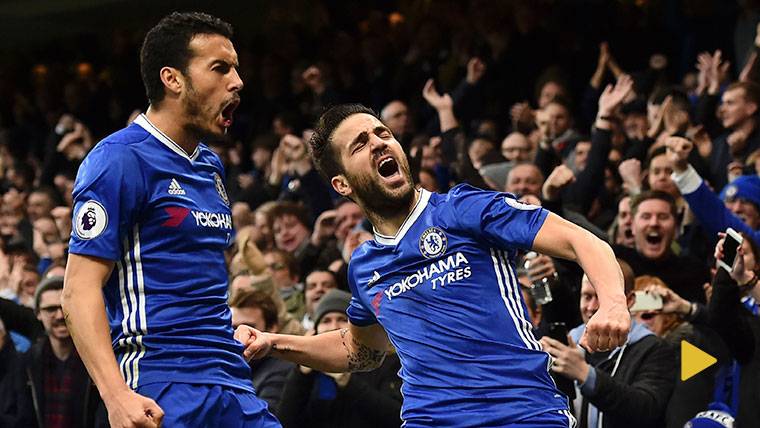Pedro and Cesc celebrating a goal with Chelsea