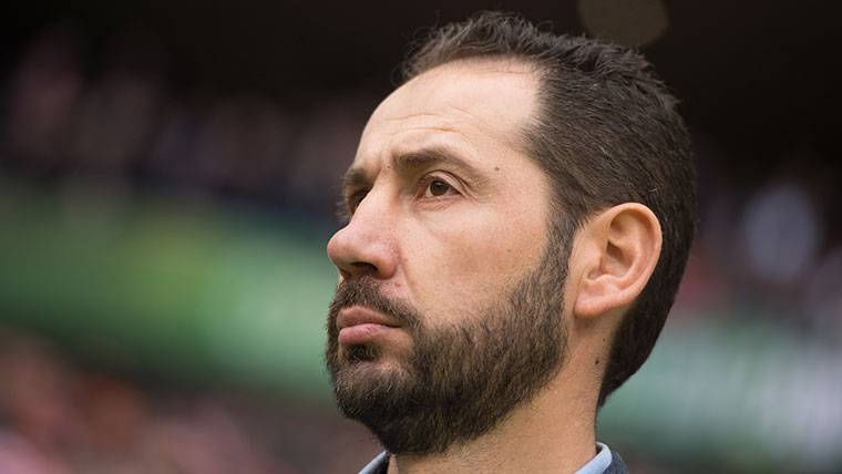 Pablo Machín, technician of the Girona