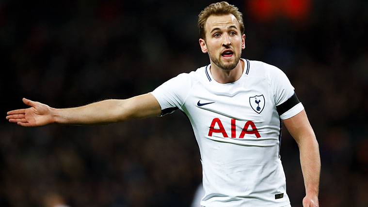 Harry Kane en un partido con el Tottenham