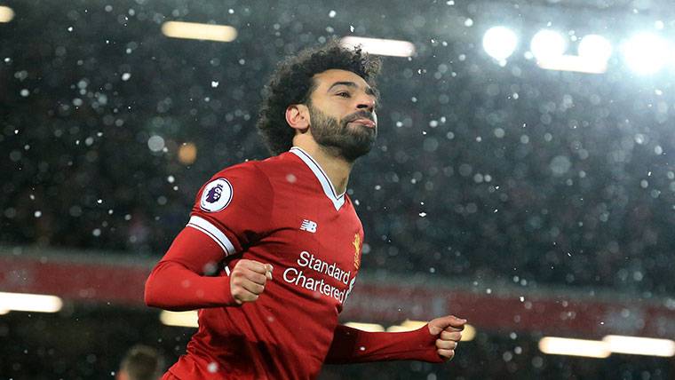 View Maradona Vs Liverpool Images