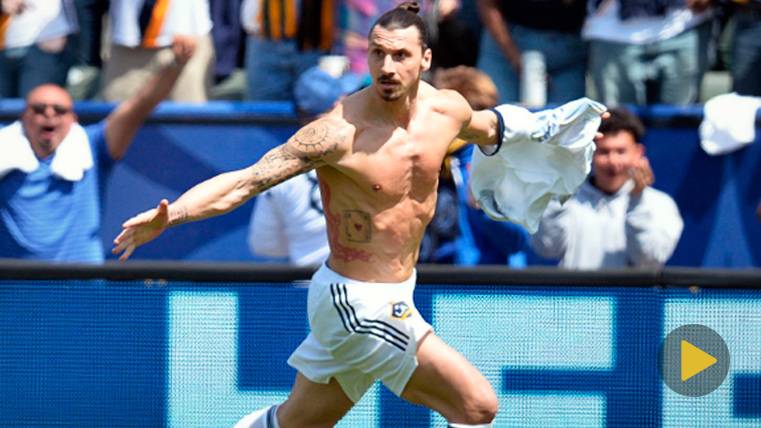 Zlatan Ibrahimovic Celebrates a goal with Los Angeles Galaxy