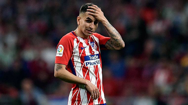 Ángel Correa regrets  after an occasion failed