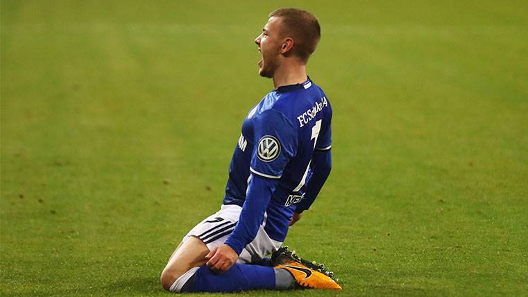 Max Meyer celebrates a goal with the Schalke 04