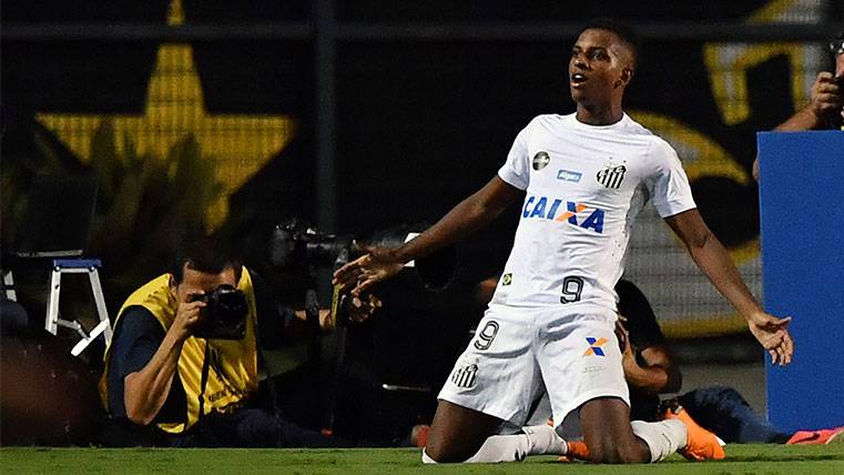 Rodrygo Goes celebra un gol con el Santos