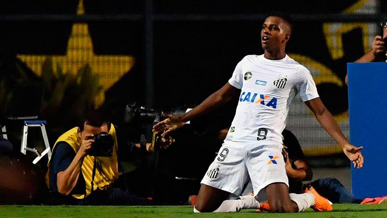 Rodrygo Goes interesa al FC Barcelona
