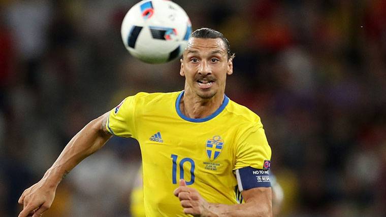 Zlatan Ibrahimovic, durante un partido con Suecia en una imagen de archivo
