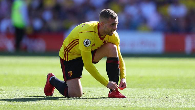 Gerard Deulofeu en un partido con el Watford