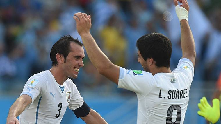 Diego Godín, celebrating a goal beside Luis Suárez with Uruguay
