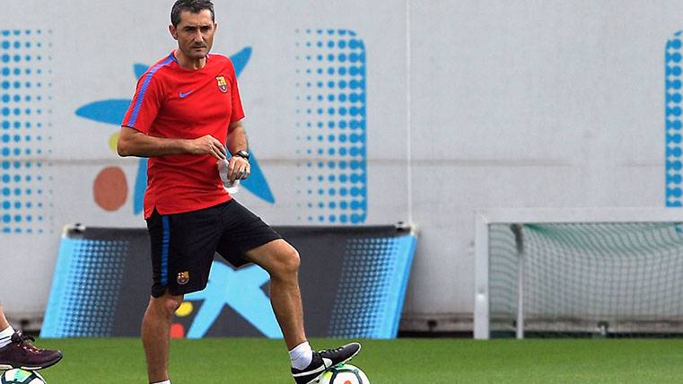 Ernesto Valverde in a training of the FC Barcelona