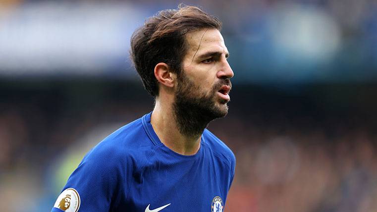 Cesc could go to the Athletic of Madrid