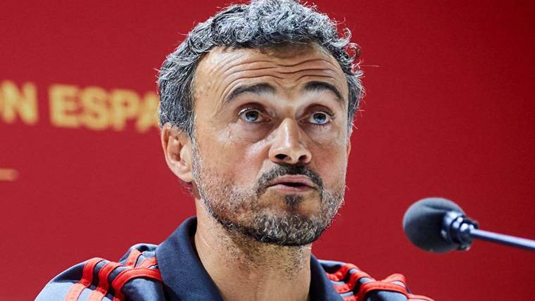 Luis Enrique, during a press conference with the Spanish Selection