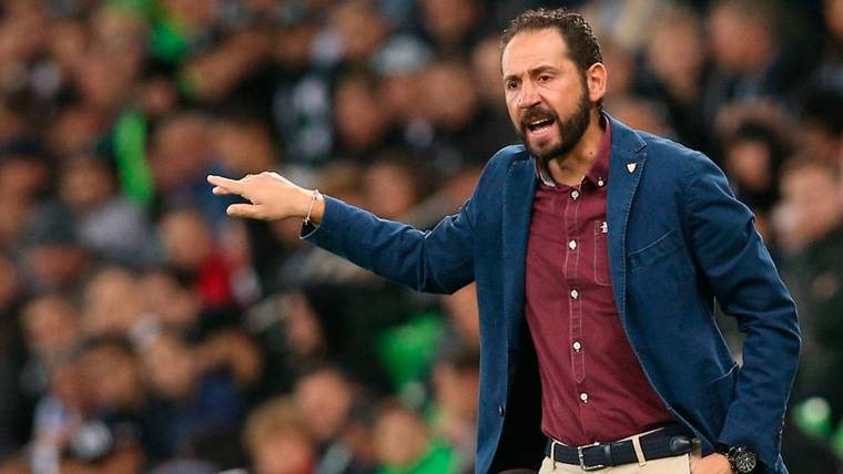 Pablo Machín en un partido del Sevilla