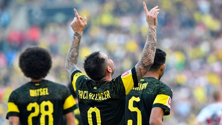 Paco Alcácer celebrates a goal with the Borussia Dortmund