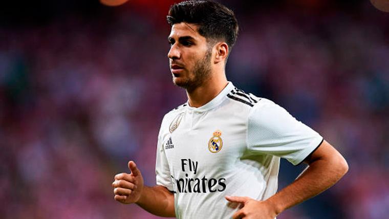 Marco Asensio, during a commitment with the Real Madrid