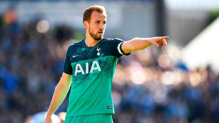 Harry Kane would interest to the Barcelona