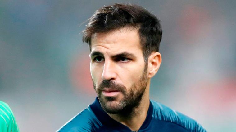 Cesc Fábregas en un partido con el Chelsea