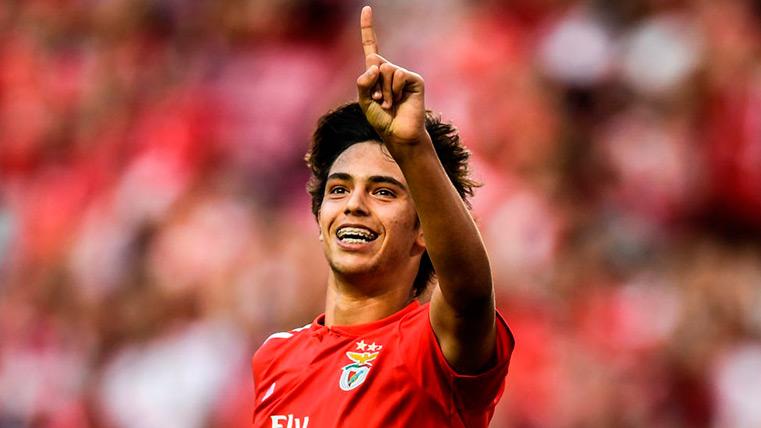 Joao Félix celebrates a goal with the Benfica