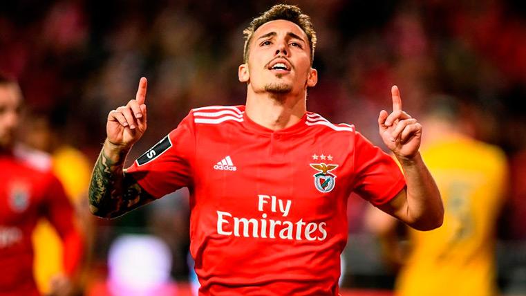 Grimaldo celebra un gol con el Benfica