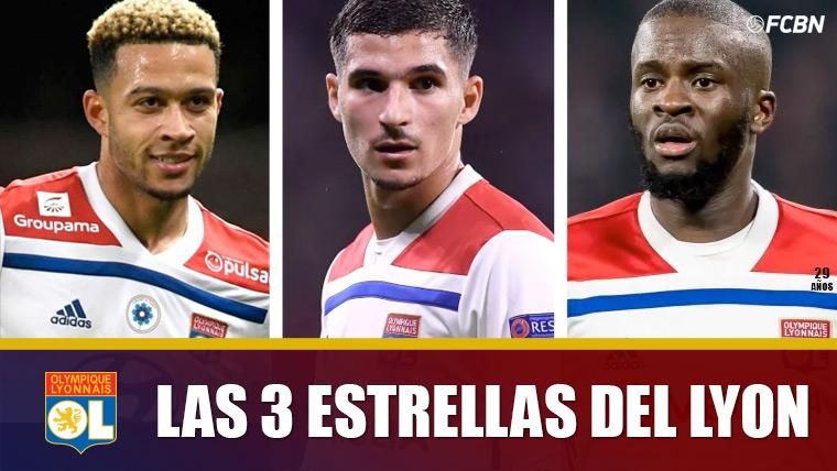 Los peligros del Lyon