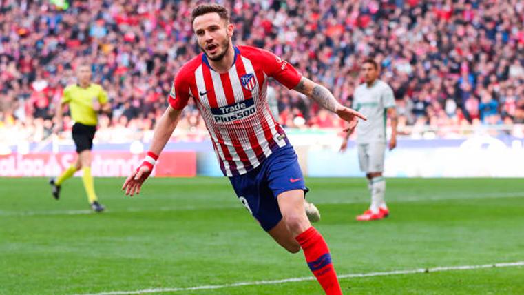 Saúl would interest to the Barcelona