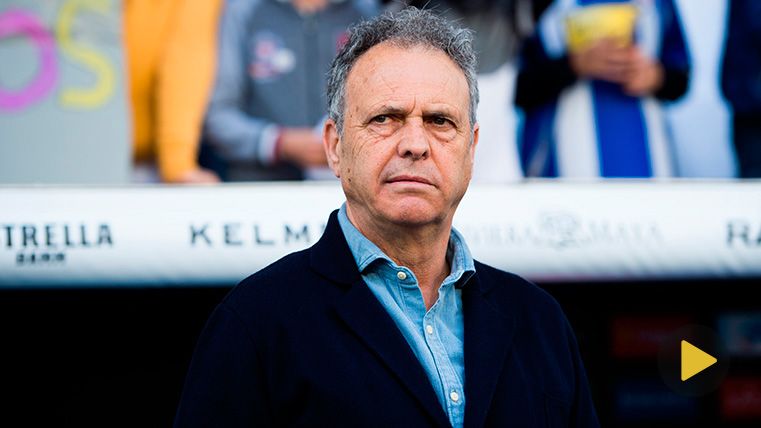 Joaquín Caparrós, technician of the Seville, in the bench