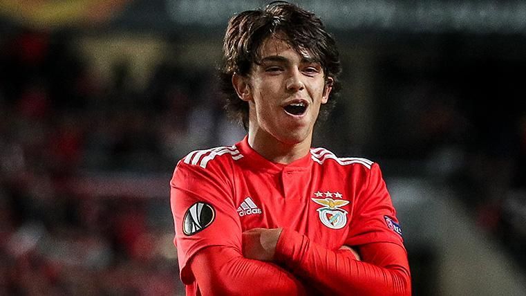 Joao Félix celebrates one of his three goals against the Eintracht