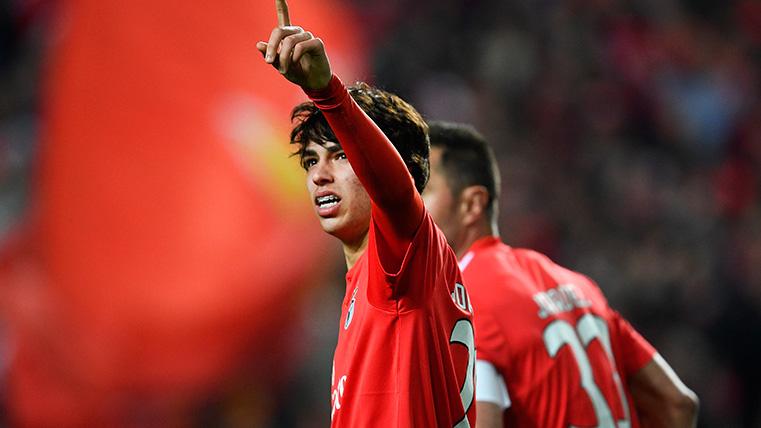 Joao Félix celebra un gol con el Benfica este año