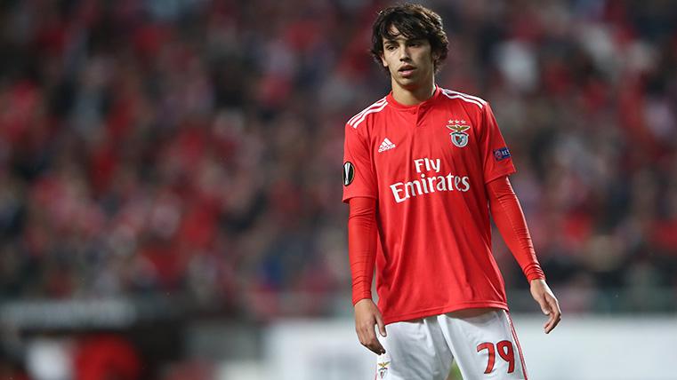Joao Félix, during a party with the Benfica this season 2018-19