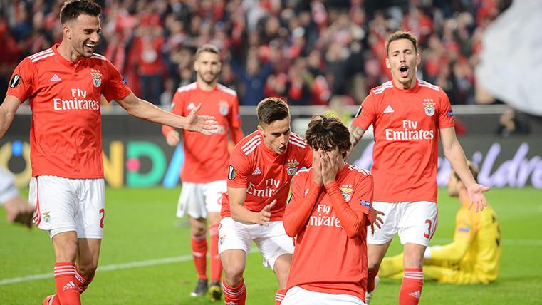 Joao Félix, celebrando con emoción un gol marcado con el Benfica