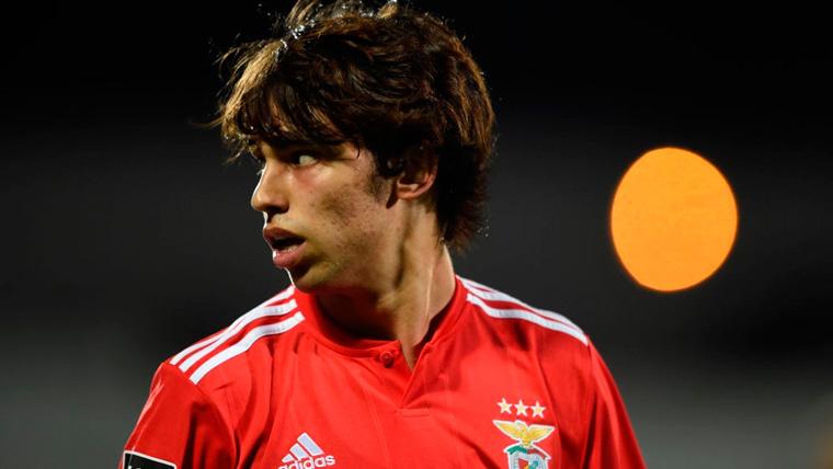 Joao Félix in a party of the Benfica