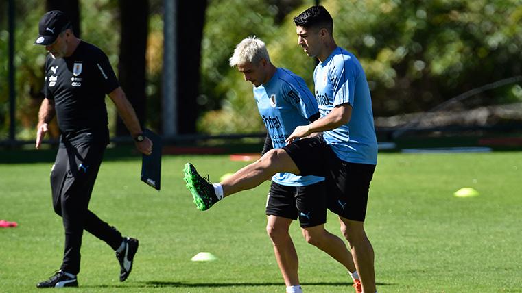 Luis Suárez, during a training with the selection of Uruguay