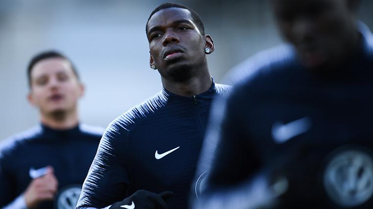 Paul Pogba, during a training with the selection of France
