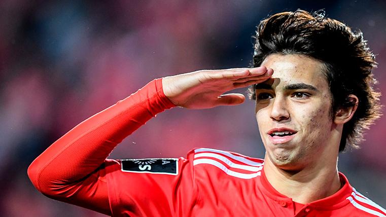Joao Félix, celebrating a goal annotated with the Benfica