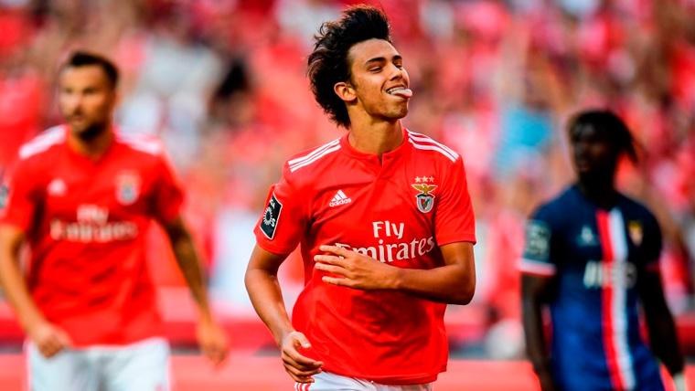 Joao Félix celebrates a goal with the Benfica