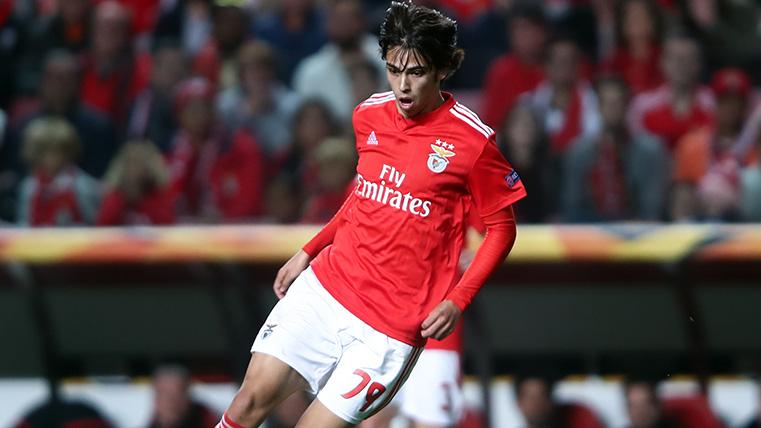 Joao Félix in a party with the Benfica