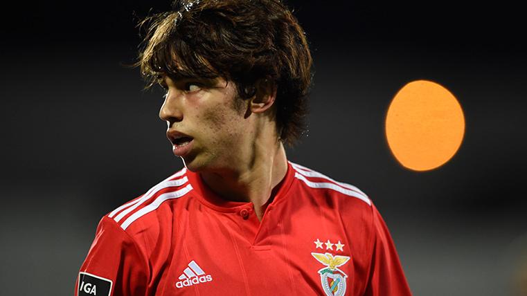 Joao Félix, during a party with the Benfica this last season 2018-19