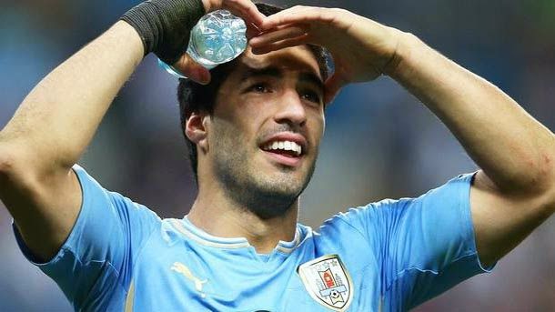 The fifa goes back to ratify the sanction to luis suárez