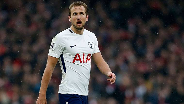Harry Kane revela su futuro: Solamente piensa en un equipo