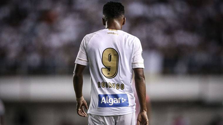 El Barcelona viaja a Brasil para bloquear el traspaso de Rodrygo