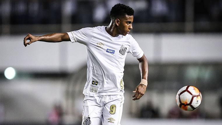 El Barça habría renunciado a Paulinho Sampaio para apostar por Rodrygo Goes