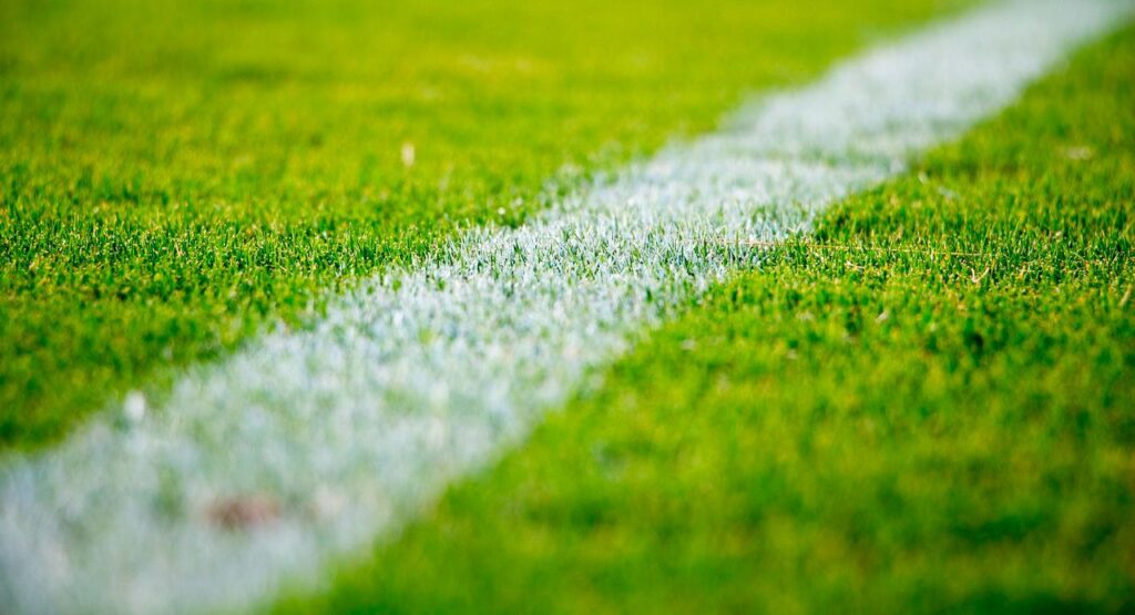 ¿Vas a apostar por un equipo? Cinco consejos clave